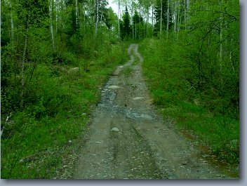 The Road